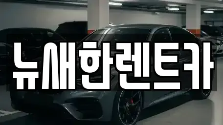 서울 서초구 서초동 렌트카 전문 뉴새한렌트카