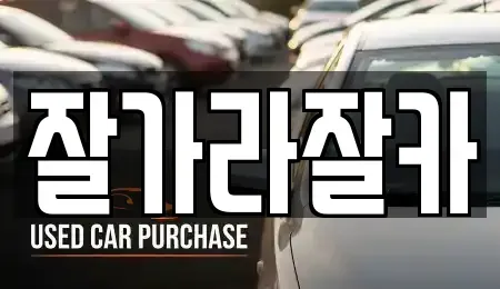 서울 서초구 서초동 중고차매매 전문 잘가라잘카