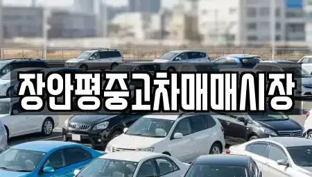 서울 서초구 서초동 중고차매매 전문 장안평중고차매매시장