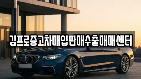 서울 서초구 서초동 중고차매입 전문 김프로중고차매입판매수출매매센터