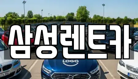 서울 서초구 잠원동 렌트카 전문 삼성렌트카