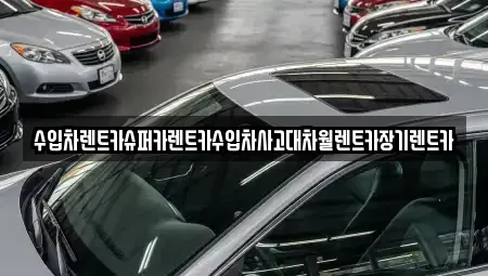 서울 서초구 잠원동 장기렌트카 전문 수입차렌트카슈퍼카렌트카수입차사고대차월렌트카장기렌트카