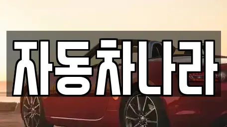 서울 서초구 잠원동 중고차매매 전문 자동차나라