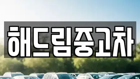 서울 서초구 잠원동 중고차매매 전문 해드림중고차