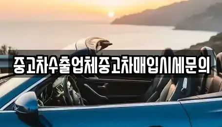 서울 서초구 잠원동 중고차매입 전문 중고차수출업체중고차매입시세문의