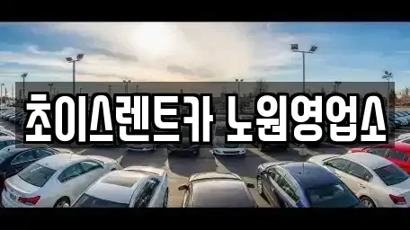 서울 성북구 석관동 단기렌트카 전문 초이스렌트카 노원영업소