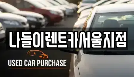 서울 성북구 석관동 렌트카 전문 나들이렌트카서울지점