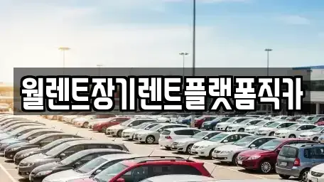 서울 성북구 석관동 장기렌트카 전문 월렌트장기렌트플랫폼직카