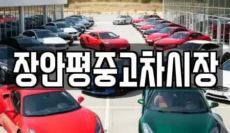 서울 성북구 석관동 중고차 전문 장안평중고차시장