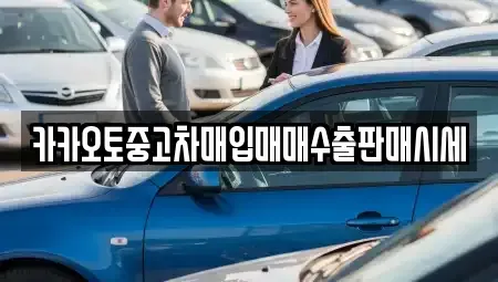 서울 성북구 석관동 중고차 전문 카카오토중고차매입매매수출판매시세