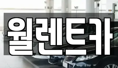 서울 용산구 한강로1가 렌트카 전문 월렌트카