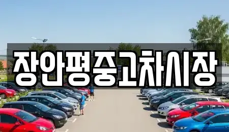 서울 용산구 한강로1가 중고차 전문 장안평중고차시장
