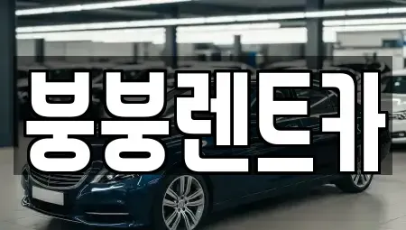 서울 은평구 렌트카 전문 붕붕렌트카