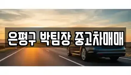서울 은평구 중고차매매 전문 은평구 박팀장 중고차매매