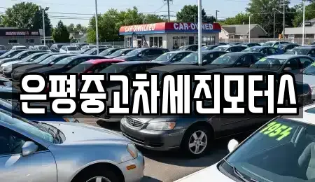 서울 은평구 중고차매매 전문 은평중고차세진모터스