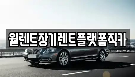 서울 종로구 가회동 장기렌트카 전문 월렌트장기렌트플랫폼직카