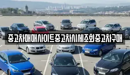 서울 종로구 봉익동 중고차 전문 중고차매매사이트중고차시세조회중고차구매