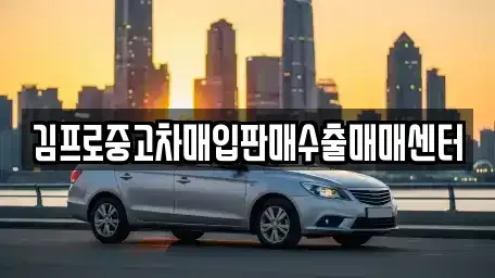 서울 종로구 운니동 중고차매입 전문 김프로중고차매입판매수출매매센터