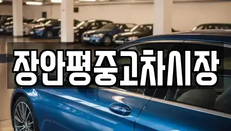 서울특별시 구로구 오류동 중고차매매 전문 장안평중고차시장