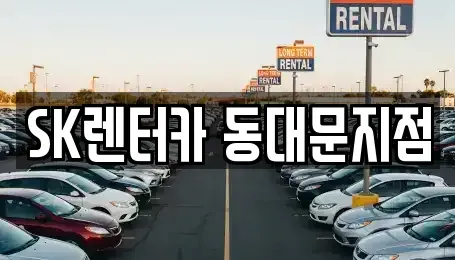 서울특별시 중구 산림동 렌트카 전문 SK렌터카 동대문지점