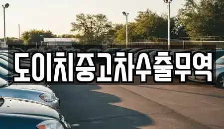 서울특별시 중구 산림동 중고차매매 전문 도이치중고차수출무역