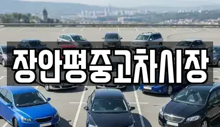 서울특별시 중구 산림동 중고차매매 전문 장안평중고차시장