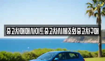 서울특별시 중구 산림동 중고차매매 전문 중고차매매사이트중고차시세조회중고차구매