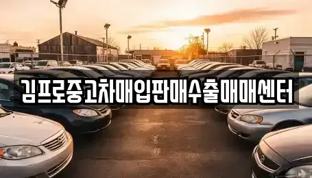 서울특별시 중구 산림동 중고차매입 전문 김프로중고차매입판매수출매매센터