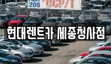 세종 어진동 렌트카 전문 현대렌트카 세종청사점