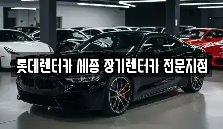 세종 어진동 장기렌트카 전문 롯데렌터카 세종 장기렌터카 전문지점