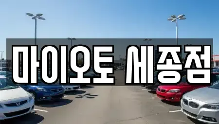 세종 어진동 장기렌트카,중고차,렌트카,단기렌트카,중고차매입,중고차매매