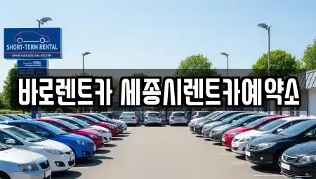 세종 어진동 장기렌트카 전문 바로렌트카 세종시렌트카예약소