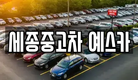 세종 어진동 중고차 전문 세종중고차 예스카