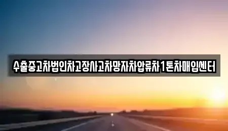 세종 어진동 중고차 전문 수출중고차법인차고장사고차망자차압류차1톤차매입센터
