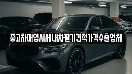 세종 어진동 중고차 전문 중고차매입시세내차팔기견적가격수출업체