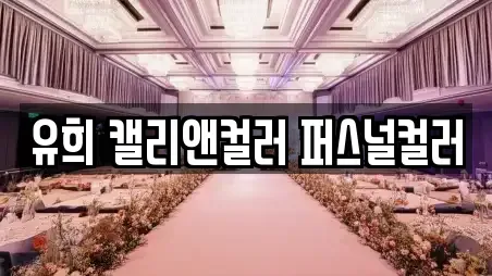 웨딩컨설팅,웨딩메이크업,웨딩드레스,웨딩박람회,스드메,예식장 인천광역시 서구 추천 22업체