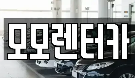 전라남도 여수시 웅천동 렌트카 전문 모모렌터카