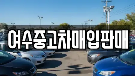 전라남도 여수시 웅천동 중고차매매 전문 여수중고차매입판매
