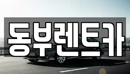 전라남도 완도군 완도읍 렌트카 전문 동부렌트카