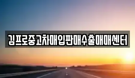 전라남도 완도군 완도읍 중고차매매 전문 김프로중고차매입판매수출매매센터