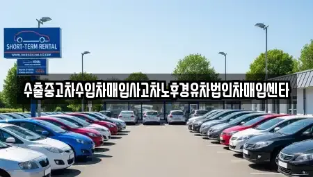 전라남도 완도군 완도읍 중고차매입 전문 수출중고차수입차매입사고차노후경유차법인차매입센타