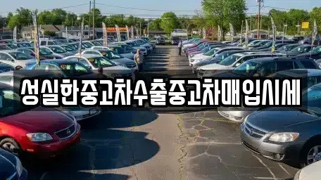 전라남도 화순군 능주면 중고차 전문 성실한중고차수출중고차매입시세