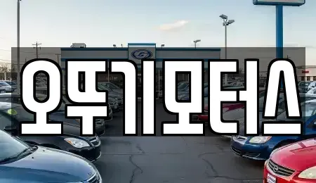 전라남도 화순군 능주면 중고차 전문 오뚜기모터스