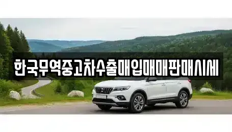 전북 김제시 순동 중고차매입 전문 한국무역중고차수출매입매매판매시세
