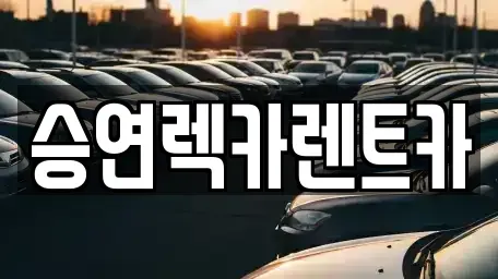 전북 전주시 덕진구 반월동 렌트카 전문 승연렉카렌트카