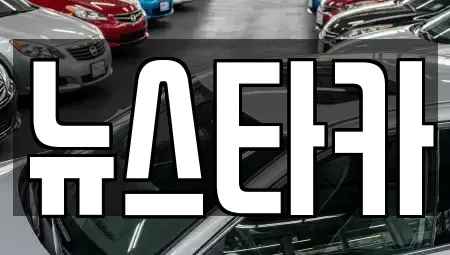 전북 전주시 덕진구 반월동 중고차매매 전문 뉴스타카