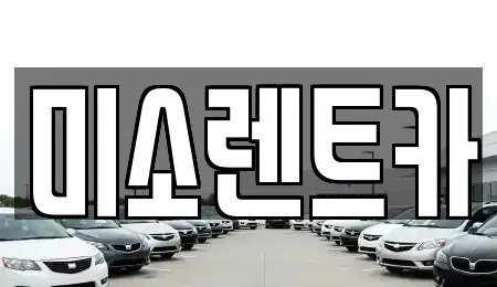 전북특별자치도 군산시 옥구읍 렌트카 전문 미소렌트카