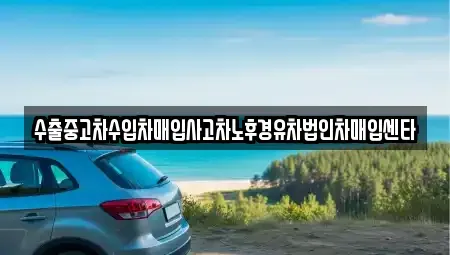 전북특별자치도 남원시 이백면 중고차매입 전문 수출중고차수입차매입사고차노후경유차법인차매입센타