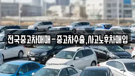 전북특별자치도 전주시 완산구 효자동1가 중고차 전문 전국중고차매매-중고차수출,사고노후차매입