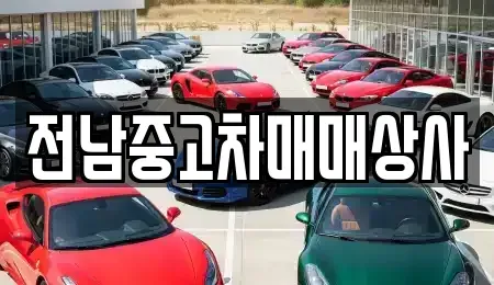 전북특별자치도 전주시 완산구 효자동1가 중고차 전문 전남중고차매매상사